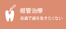 根管治療 虫歯で歯を抜きたくない