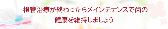 根管治療が終わったらメインテナンスで歯の健康を維持しましょう